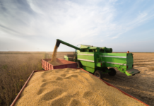 Impactos da Escassez de Diesel na Agricultura e Preocupações com os Preços de Alimentos