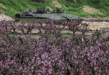 Tragédia na Fronteira: Civil Israelense Morto por Fogo Amigo