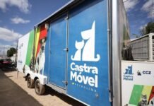 Petrolina Reestrutura Políticas de Cuidado e Controle Populacional de Animais