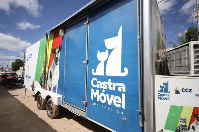 Castramovel-Petrolina