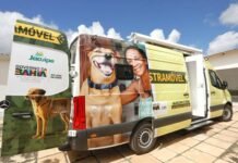 Capim Grosso Recebe Castramóvel: Uma Iniciativa do Governo da Bahia para o Controle Animal