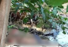 Tragédia na Zona Rural: Afogamento em Juazeiro Choca Comunidade