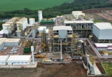 Raízen em Crise: Entenda os Fatores que Levam à Recuperação Extrajudicial