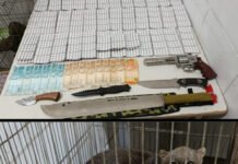 Homem é preso por tráfico de drogas e crime ambiental em Juazeiro