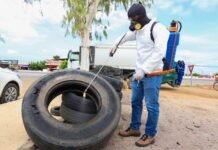 Petrolina Sob Alerta: Risco de Infestação pelo Aedes Aegypti Aumenta