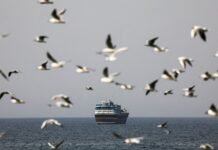 Impactos Econômicos do Bloqueio em Ormuz: Além do Petróleo, o Cenário para Granéis Sólidos