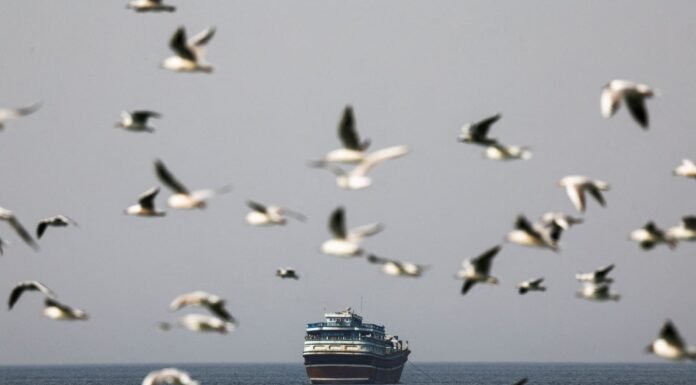 Impactos Econômicos do Bloqueio em Ormuz: Além do Petróleo, o Cenário para Granéis Sólidos