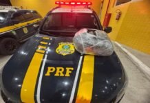 Polícia Rodoviária Federal Intercepta Tráfico de Drogas em Petrolina