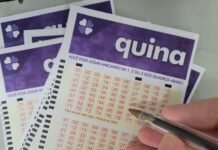 Resultados do Concurso 6981 da Quina: Confira os Números Sorteados