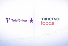 Telefônica Brasil e Minerva: Análise do Desempenho das Ações no Ibovespa