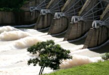 Cemig Registra Resultados Positivos e Se Destaca em Dia de Queda do Ibovespa