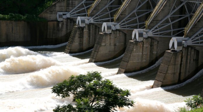 Cemig Registra Resultados Positivos e Se Destaca em Dia de Queda do Ibovespa
