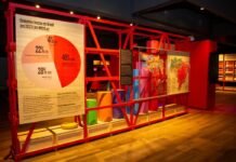 Reabertura do Centro Cultural Banco da Amazônia: Exposições que Celebram a Cultura e o Clima