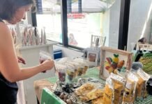 Festival Feira Viva: Um Encontro de Cultura e Sustentabilidade em Belém