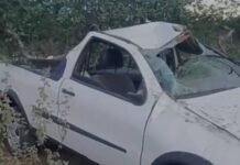 Acidente Fatal na BR-235: Motorista Tenta Desviar de Animal e Perde a Vida