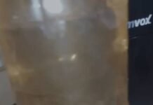 Preocupações com a Qualidade da Água em Santana do Sobrado, Casa Nova