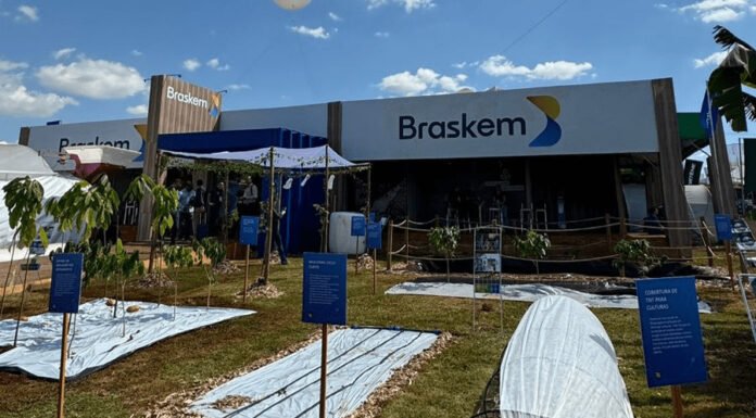 Braskem Registra Queda nas Vendas de Resinas e Químicos no Quarto Trimestre