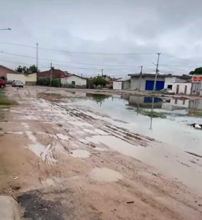 c2f6a13b-afda-4e67-8bd2-d10d239be274_1