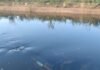 Carro Submerso em Canal de Irrigação em Petrolina: Detalhes do Incidente