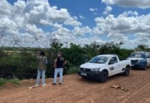 Autuação por Descarte Irregular de Animais Mortos em Petrolina