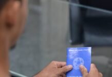 Sedepe Lança Novo Ciclo de Oportunidades com Quase 300 Vagas de Emprego