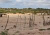 Seminários em Pernambuco abordam desertificação e seca