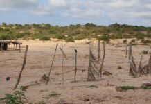 Seminários em Pernambuco abordam desertificação e seca