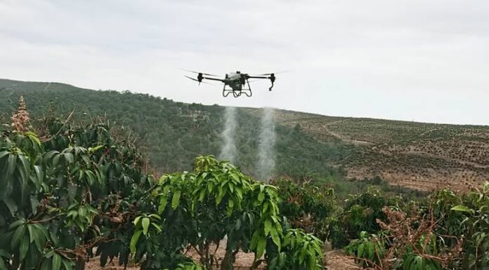Drones Transformam a Fruticultura no Vale do São Francisco