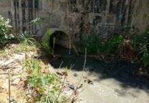 Petrolina em Destaque: Baixos Investimentos em Saneamento Segundo Pesquisa do Trata Brasil