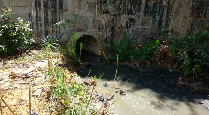 Petrolina em Destaque: Baixos Investimentos em Saneamento Segundo Pesquisa do Trata Brasil