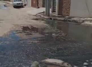 Problemas com Esgotos no Bairro Cacheado Geram Revolta entre Moradores
