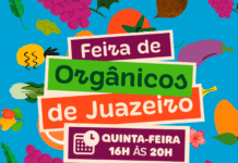 Mudança de Local da Feira Municipal de Orgânicos de Juazeiro: Novas Oportunidades para Agricultores e Consumidores
