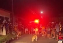 Filho é Suspeito de Matar o Pai e Enterrá-lo em Quatipuru