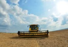 Profissões Emergentes na Era da Adaptação Climática no Pará