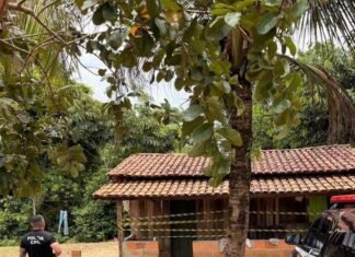 Acidente com Arma de Fogo em Ipixuna do Pará: Criança Ferida e Homem Preso