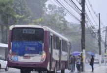 Previsão do Tempo em Belém: Chuva e Calor Marcam o Dia 3 de Março