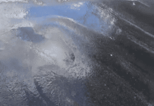 Problemas no Asfalto Recém-Implantado na Vila Eduardo Causados por Vazamento de Água