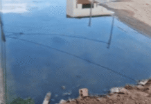 Problemas de Esgoto no Dom Avelar: Comunidade Enfrenta Desafios