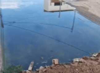 Problemas de Esgoto no Dom Avelar: Comunidade Enfrenta Desafios