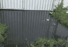 Crise de Esgoto no Bairro Santa Luzia: Moradores Clamam por Soluções Urgentes