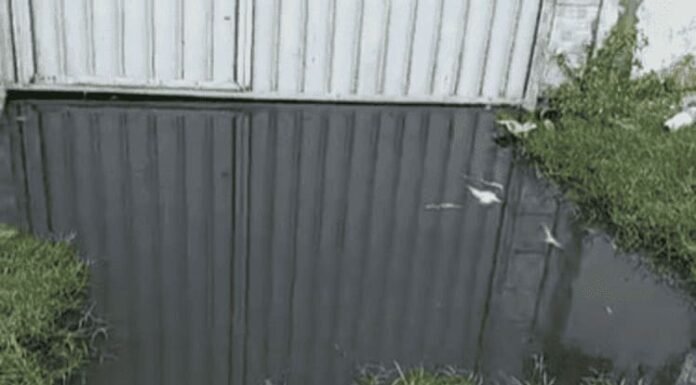 Crise de Esgoto no Bairro Santa Luzia: Moradores Clamam por Soluções Urgentes