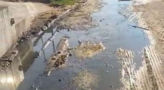 Moradores do Bairro Pedro Raimundo Enfrentam Desafios com Vazamento e Buracos nas Ruas