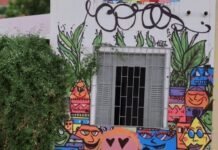 Inscrições Abertas para Formação em Dança Contemporânea em Petrolina