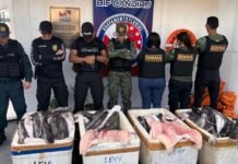 Base Fluvial Candiru realiza apreensão significativa de pescado irregular no Baixo Amazonas