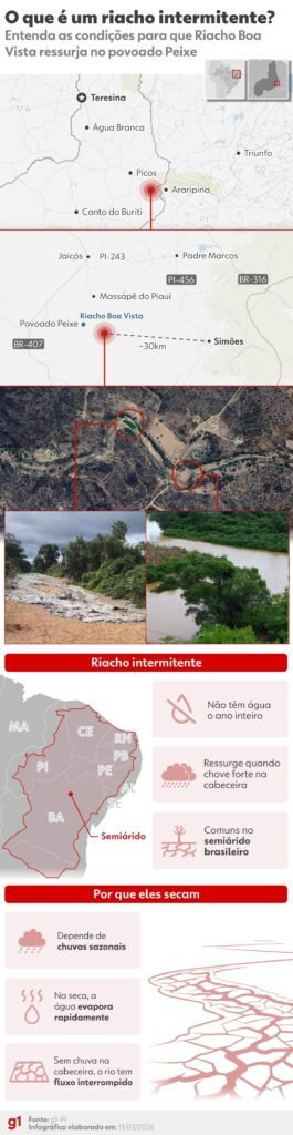 image_1773472606628-265x1024-1