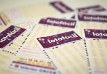 Dois Apostadores da Lotofácil Faturam Mais de R$ 1 Milhão no Concurso 3636