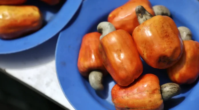 Frutas Perigosas: Conheça os Riscos Ocultos e Como Evitá-los