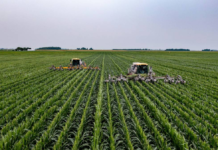 Terra Santa (LAND3) registra lucro de R$ 8,4 milhões no quarto trimestre de 2025