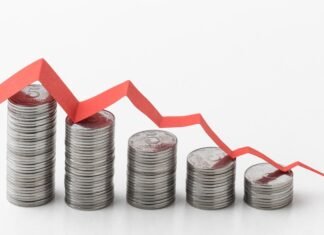 Impactos do Primeiro Corte na Selic e Expectativas para o Cenário Econômico