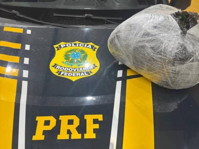 maconha-apreendida-pela-PRF-em-Petrolina-1